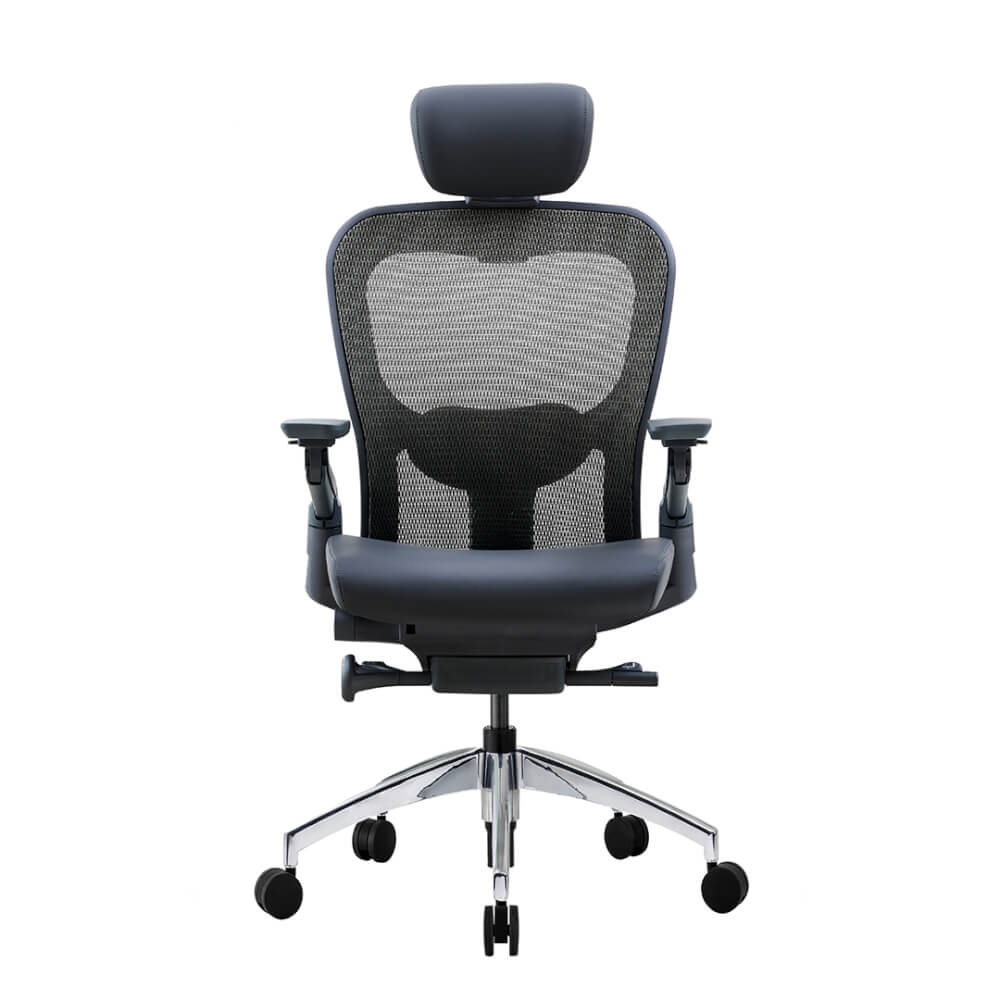 เก้าอี้เพื่อสุขภาพ DF PROCHAIR รุ่น Wonder-H สีดำ